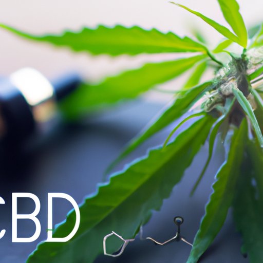 Is CBD Expensive? Exploring the Benefits, Costs, and Risks of Cannabidiol