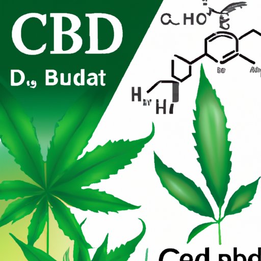 Is CBD Good for Liver? A Comprehensive Review of the Latest Studies