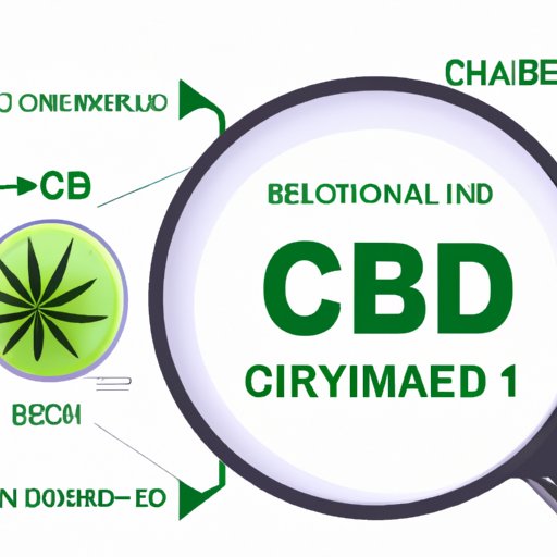 CBD for Weight Loss: Separating Fact from Fiction