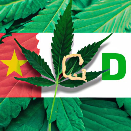 CBD Legality in the Dominican Republic: An Overview