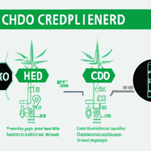 Is CBD Oil and Hemp Oil the Same? Understanding the Differences and Similarities