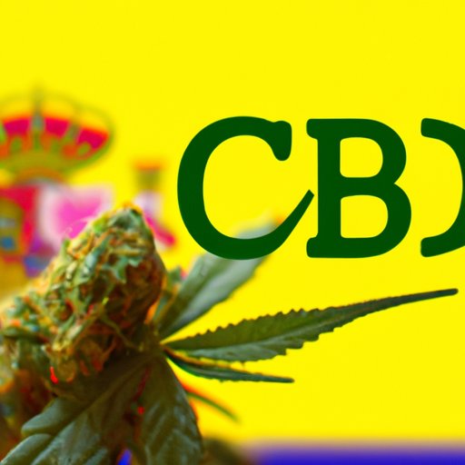 Is CBD Oil Legal in Mexico? A Comprehensive Guide to the Legal Landscape