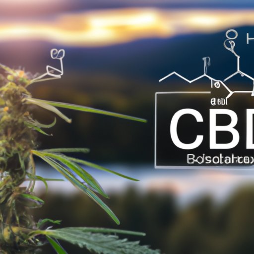 Is CBD Oil Legal in Pennsylvania: Navigating the Confusing Legal Landscape
