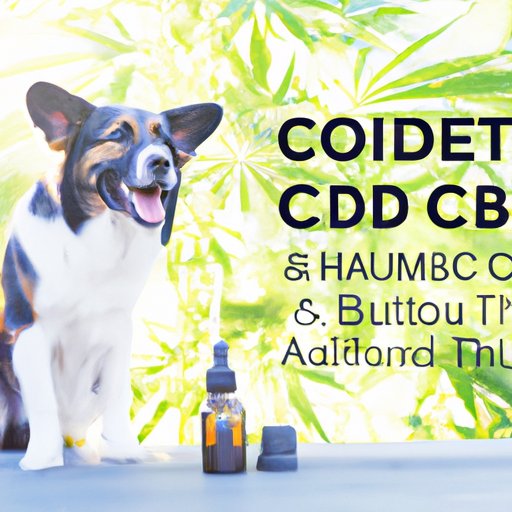 Is CBD Safe for Dogs? A Comprehensive Guide to Using CBD for Your Furry Companion