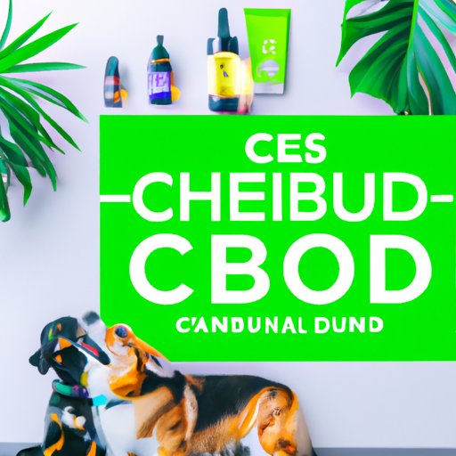 Is CBD safe for Dogs and Cats? Benefits and Risks Explained