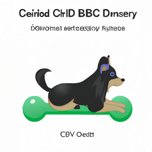 Is CBD Safe for Dogs with Kidney Disease? A Comprehensive Guide for Pet Owners