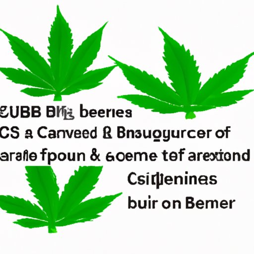 CBG vs. CBD: Which is Better?
