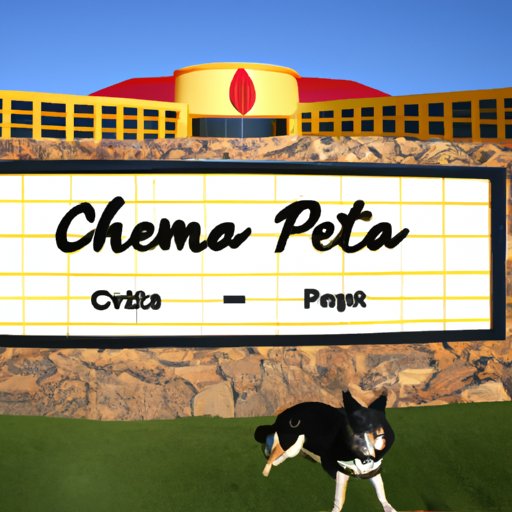 Is Choctaw Casino Pet-Friendly? Your Guide to Furry Fun