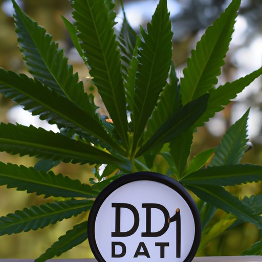 Exploring Delta 10 CBD: The Latest Cannabinoid Craze