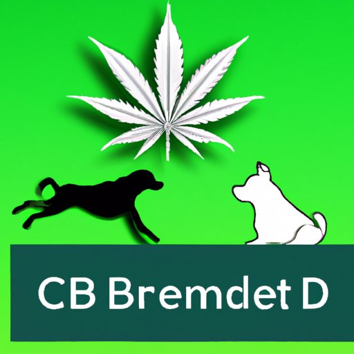 Is Hemp and CBD the Same for Dogs? Exploring Benefits, Differences, and Risks