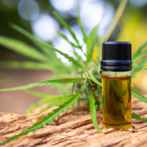 Is Hemp Extract CBD? Exploring the Relationship, Benefits, and Misconceptions of CBD and Hemp Extract