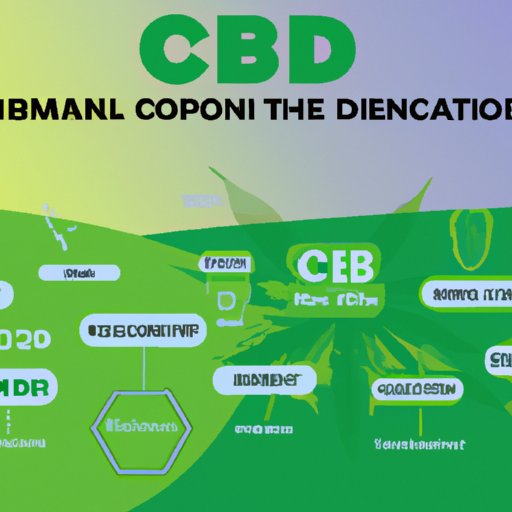 Hemp Oil vs CBD Oil: Clearing the Confusion and Understanding the Differences