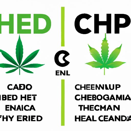 Hemp Oil vs. CBD Oil: Decoding the Differences and Similarities
