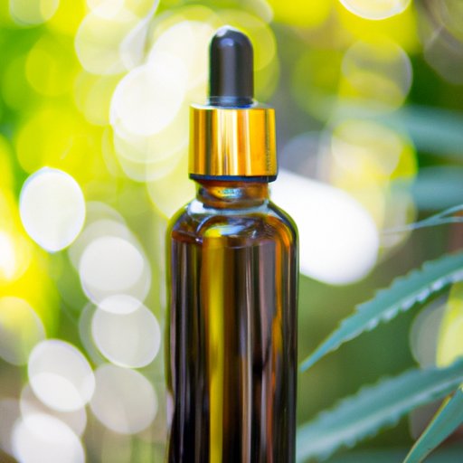 Decoding the Differences Between Hemp Oil and CBD Oil: A Comprehensive Guide
