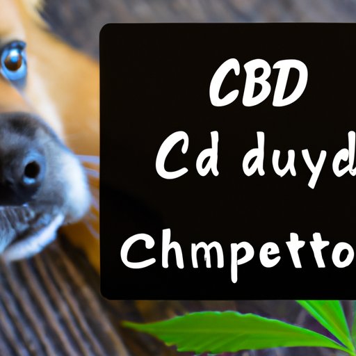 Is Human CBD OK for Dogs? Understanding the Benefits, Risks, and Dosage
