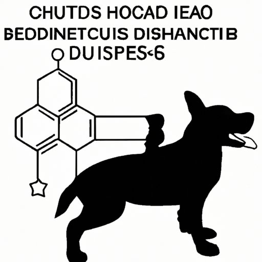 Is Human CBD Okay for Dogs? Understanding the Risks and Benefits of Sharing CBD Products with Your Canine Friend