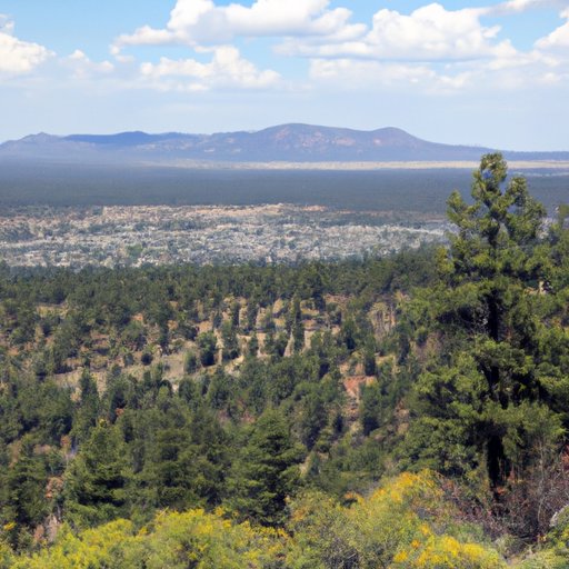 Is There a Casino in Flagstaff? Exploring Arizona’s Unique Destination