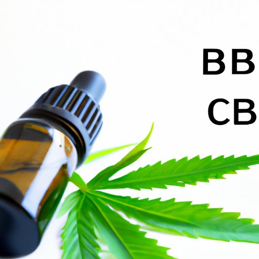 Unlocking the Benefits of CBD Oil: A Comprehensive Guide for Beginners