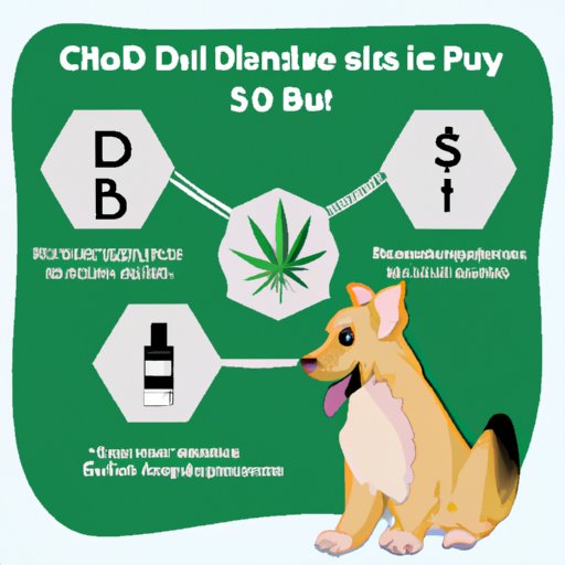 Should I Give My Dog CBD Oil Everyday? Benefits, Risks, and Dosage Guidelines