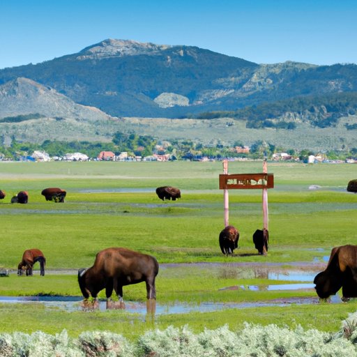 The Casino From Yellowstone: History, Legacy, and Behind the Scenes