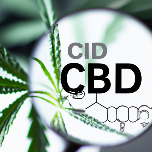 What CBD is Right for Me: A Comprehensive Guide to Find Your Perfect Match