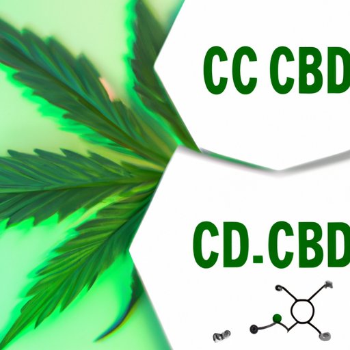 The Complete Guide to CBD: What Does CBD Stand For and What Are Its Benefits?