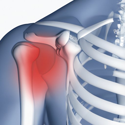 The Labrum: Understanding its Anatomy, Function & Treatment