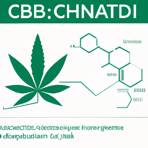 CBC vs CBD: Understanding the Differences and Similarities