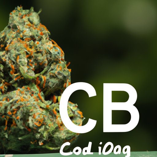 What Is CBD Like? Exploring Its Effects, Benefits, and Misconceptions