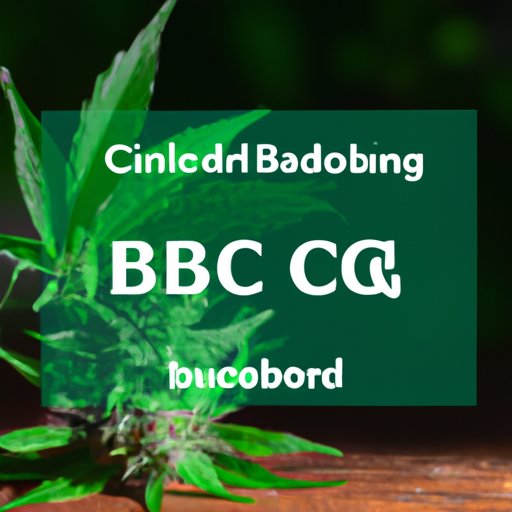 CBG vs CBD: Understanding the Differences and Benefits of These Compounds
