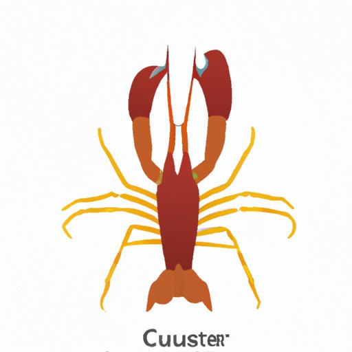 A Beginner’s Guide to Crustacea: Unveiling the Mysteries, Types, Ecosystem Role, and Culinary World of Crustacea