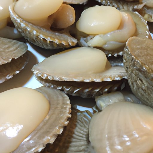 The Ultimate Guide to Scallops: Types, Benefits, and Cooking Tips