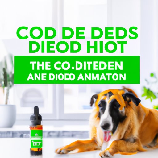 The Ultimate Guide to Finding the Best CBD Oil for Dogs: Our Top Picks