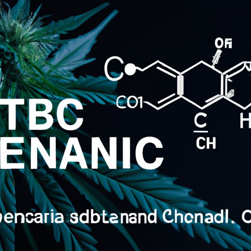 Exploring the Best CBD to THC Ratios for Managing Pain: A Comprehensive Guide
