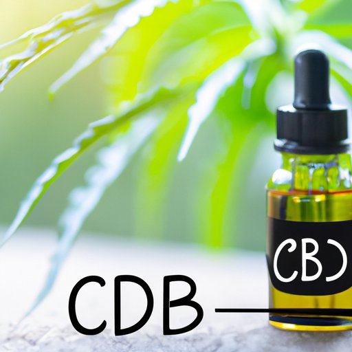 Best Ways to Take CBD Oil: A Comprehensive Guide