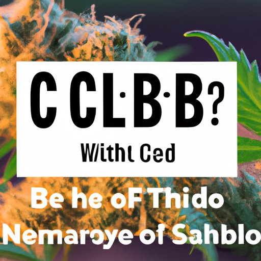 CBD vs CBG: Understanding the Differences and Benefits for Your Health