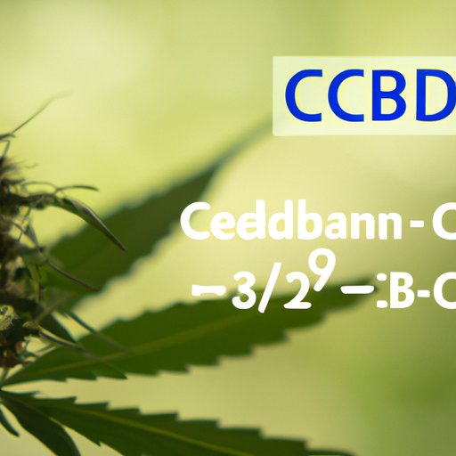 CBD versus Hemp: Understanding the Differences, Benefits, and Uses