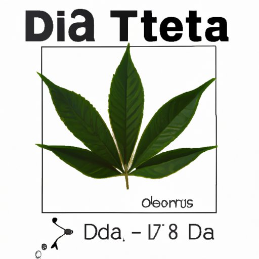 Delta 8 vs CBD: Understanding the Key Differences and Choosing the Right Cannabinoid for You