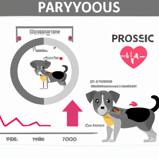 Recognizing the First Signs of Parvo in Your Dog: Understanding the Risks and Symptoms