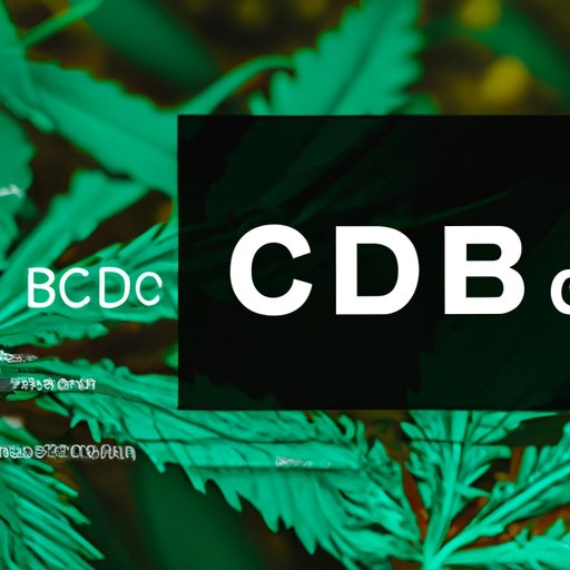 Exploring the Strongest CBD Strains: A Comprehensive Guide to Understanding CBD Potency