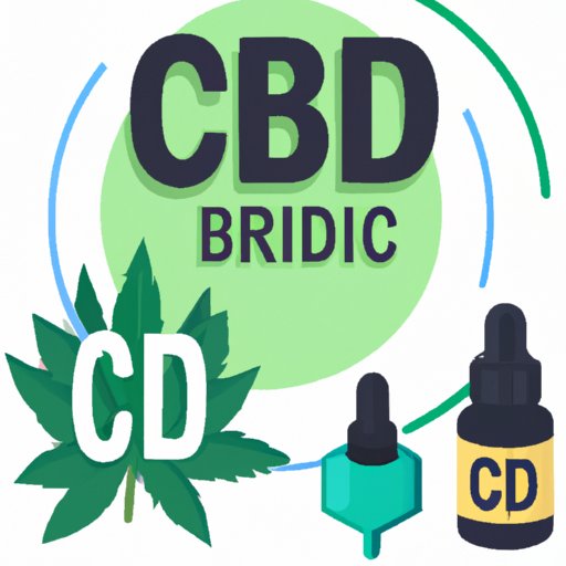 Where Can I Purchase CBD? A Complete Guide to Buying CBD Products Online and Offline
