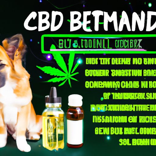 Best Places to Buy CBD for Dogs in Your Local Area