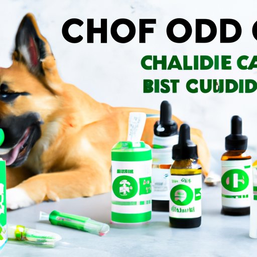 Where to Buy CBD for Dogs: A Guide to Finding Safe and Effective Products