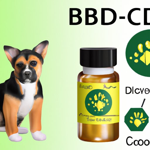 Where to Buy CBD Oil for Dogs with Anxiety: A Comprehensive Guide