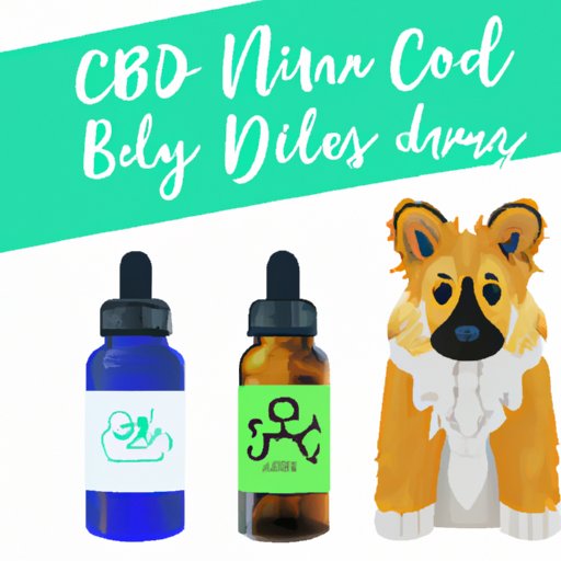 Where to Buy Honest Paws CBD Oil for Dogs: A Comprehensive Guide to Finding the Best Retailers