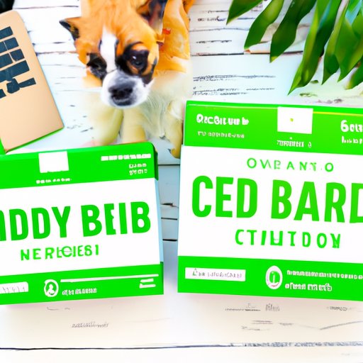 Where to Get CBD for Dogs: A Comprehensive Guide