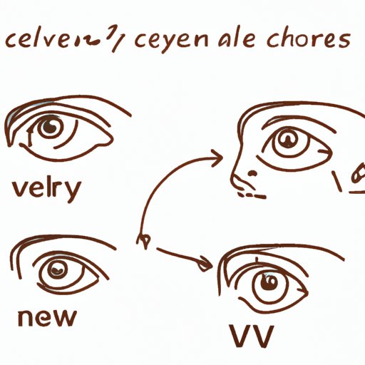 Understanding the Six Cranial Nerves: A Comprehensive Guide to Eye Movement Control