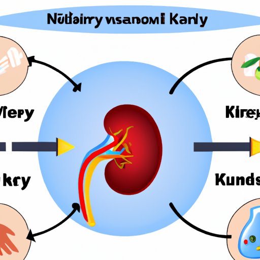 What Kidneys Cannot Do: Myths and Facts