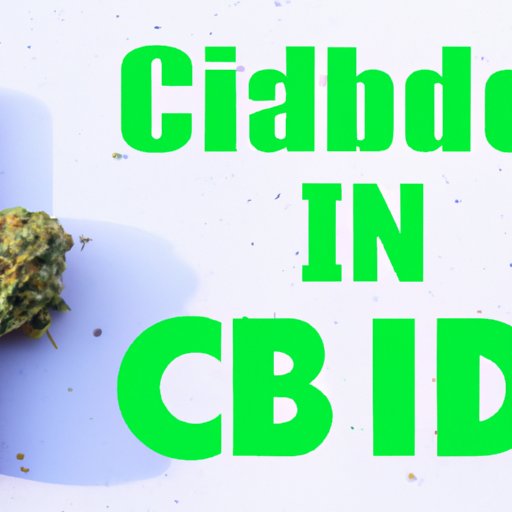 CBD Potency in Cannabis Preparations: Which One Comes Out on Top?