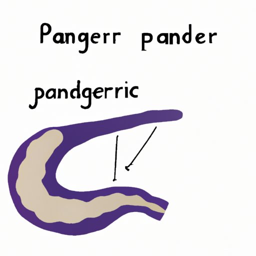Which Side Is Your Pancreas On? A Comprehensive Guide to Understanding Its Location